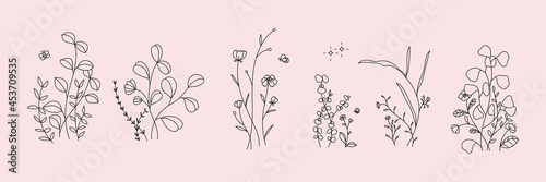 minimal botanical graphic sketch line art drawing, trendy tiny tattoo design, floral elements vector illustration
