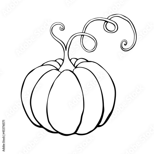 Vector outline pumpkin with a mustache in doodle style. Black contour isolated on white background. Symbol Halloween, autumn, crop, thanksgiving day, fruitful year