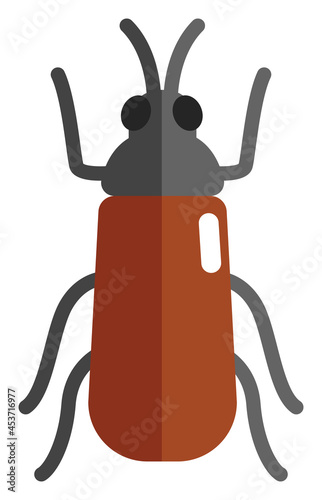 Soldier beetle bug, icon illustration, vector on white background photo