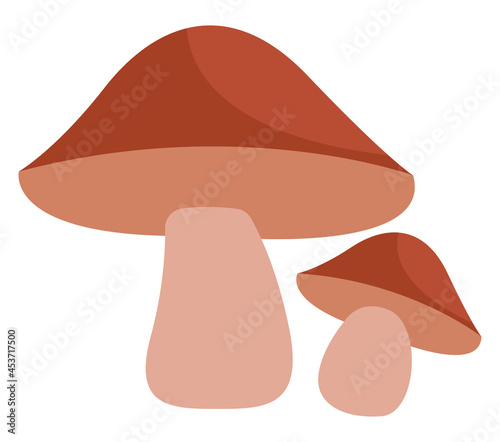 Two brown boletus mushrooms, icon illustration, vector on white background
