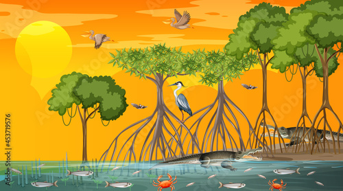 Mangrove forest landscape scene at sunset time with many different animals