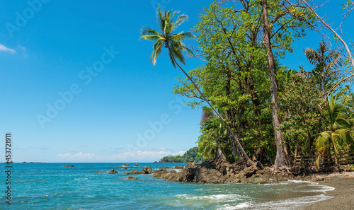 Beach in summer with palm tree, Corcovado national park, Osa Peninsula, Costa Rica.
