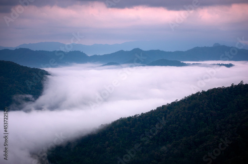 Aerial view Beautiful fog in the morning forest with green mountains. Huai Kub Kab  Mae Taeng  Chiang Mai  Thailand.