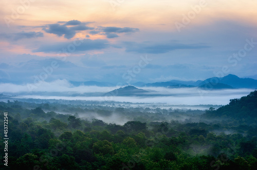 Aerial view. Beautiful fog in the forest with green mountains. © 24Novembers