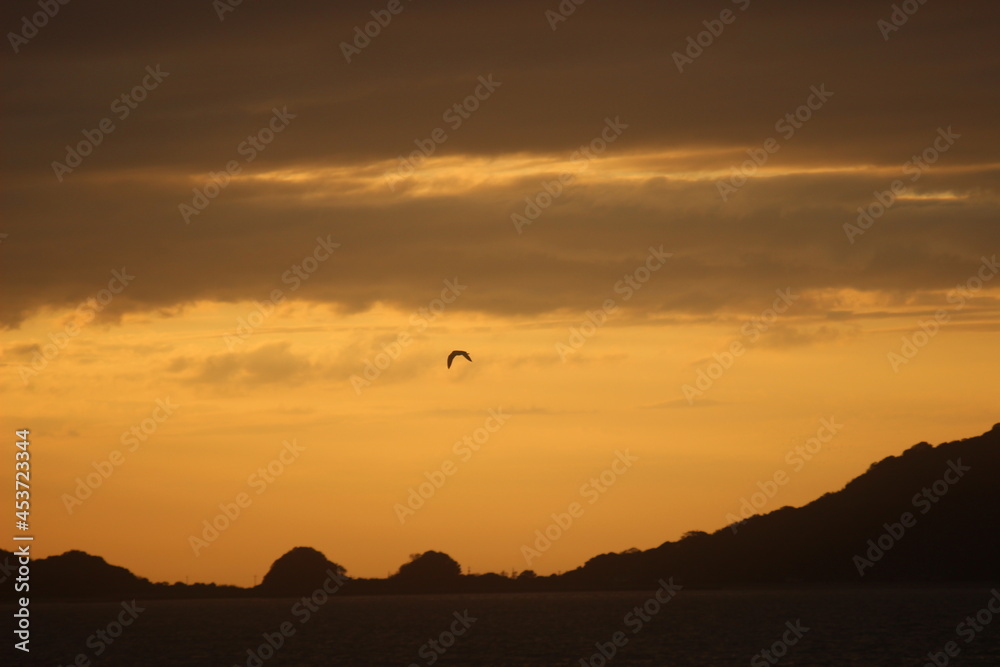 Obraz premium 日本の自然と空と海! マジックアワーのソラを羽ばたく鳥