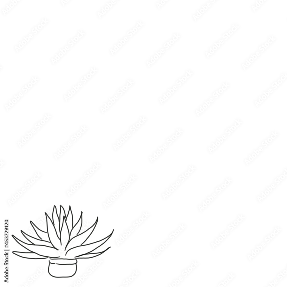 Obraz premium trendy home decor with plants. tropical leaves in stylish planters and pots. plant illustration. decorative plant background