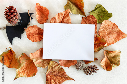 Banner. Modern background with autumn leaves and bat. Halloween with copy space for text.