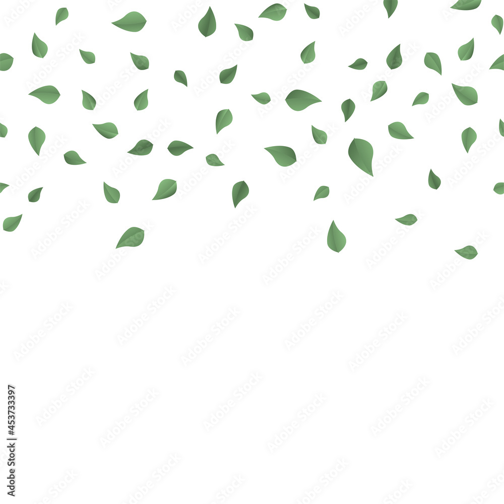 Falling green summer leaves on white background. Vector Falling green summer leaves on white background. Vector