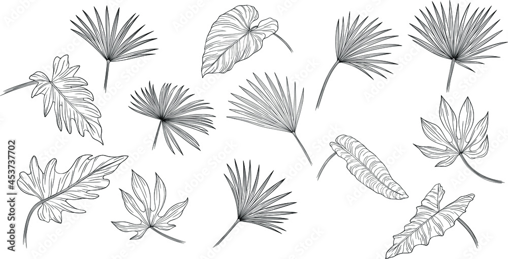 Tropical leaves isolated on white. Hand drawn vector illustration Tropical leaves isolated on white. Hand drawn vector illustration