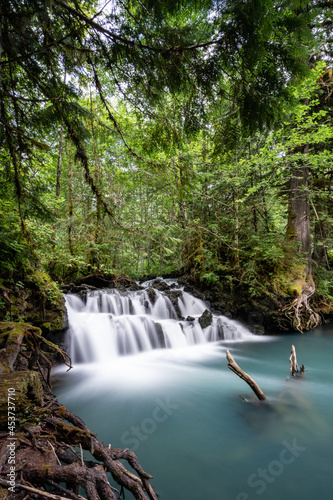 waterfall in the forest