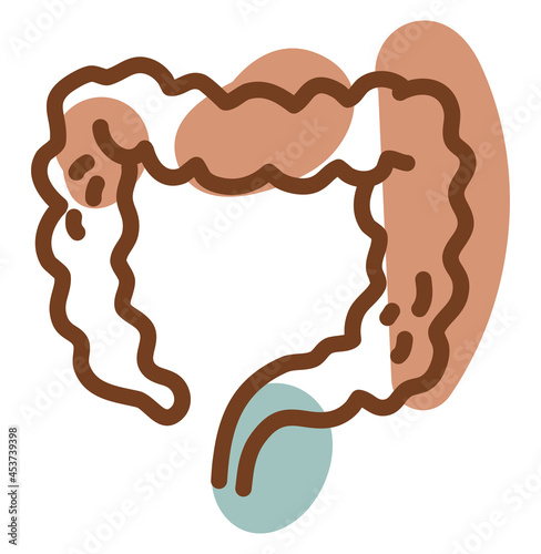 Human intestines, illustration, vector, on a white background.