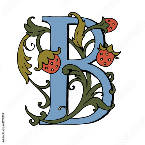 Cartoon fairy-tale ornamental letter. Color vintage letter B