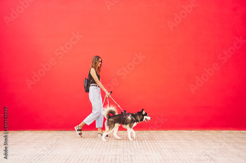 Young stylish woman taking her siberian husky for a ride against red background