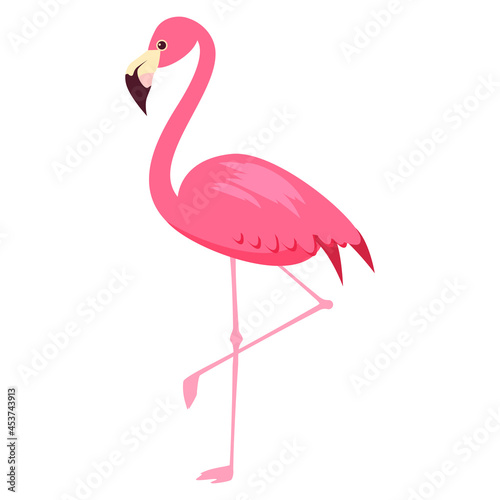 Pink Flamingo exotical bird. Vector illustration cartoon style