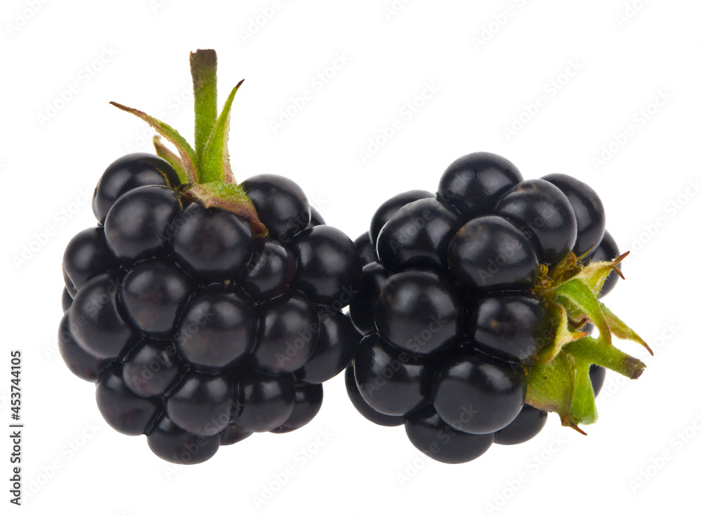 Juicy fresh blackberries isolated on white background. Juicy fresh blackberries isolated on white background.