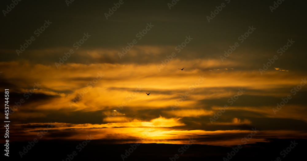 Przepiękny zachód słońca na tle ognistych chmur i dwóch odlatujących ptaków