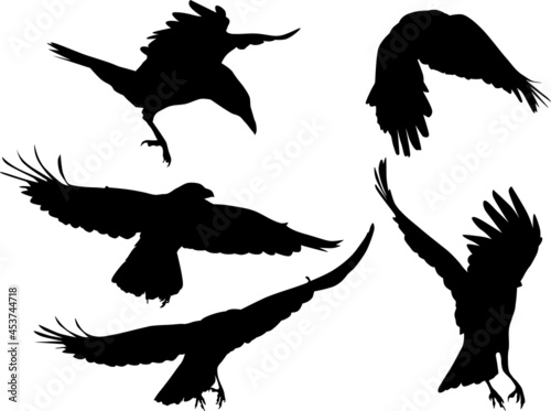 group of five crows black silhouettes