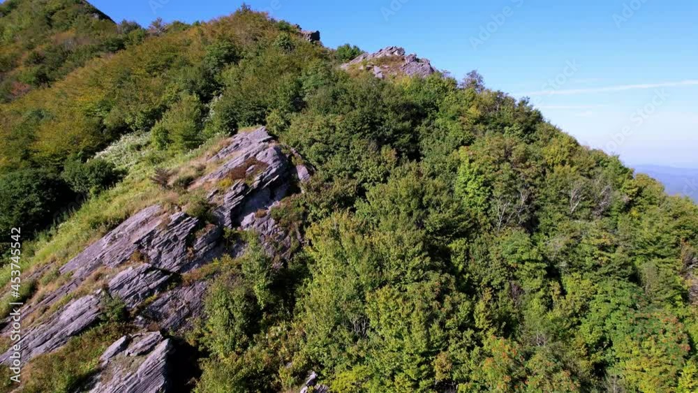 Dynamic Reveal, ridge atop snake mountain nc, north carolina near boone and blowing rock nc, north carolina Dynamic Reveal, ridge atop snake mountain nc, north carolina near boone and blowing rock nc, north carolina
