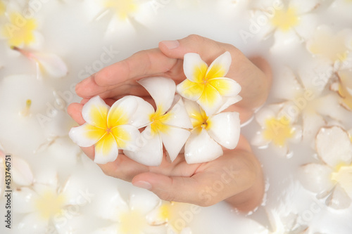 Beauty spa and wellness treathment with white flower petals in bath with milk