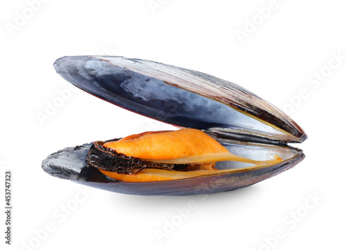 Raw mussel on white background