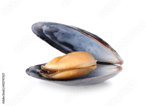 Raw mussel on white background