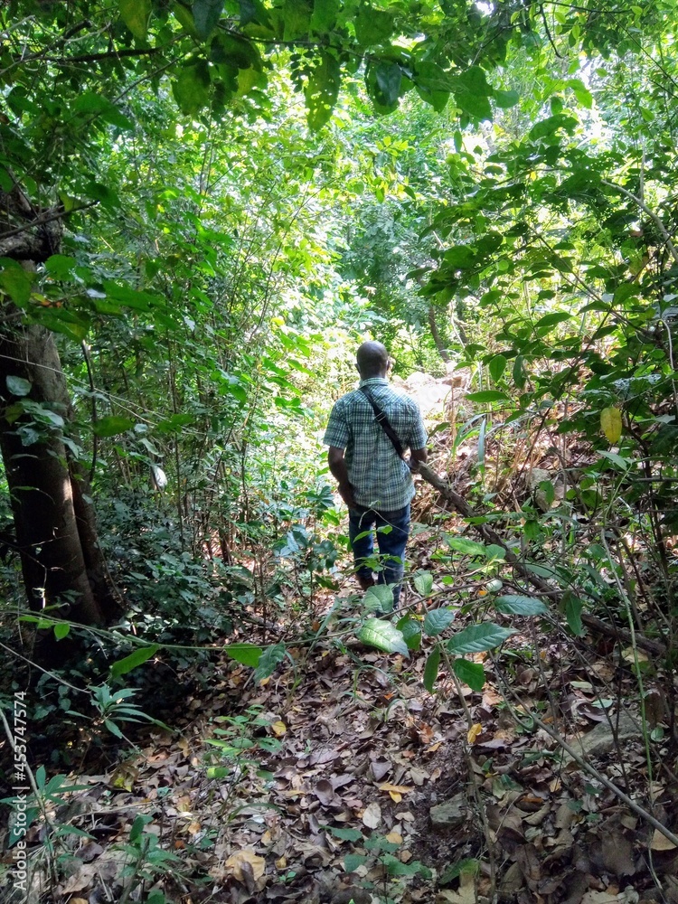 hiking in the woods