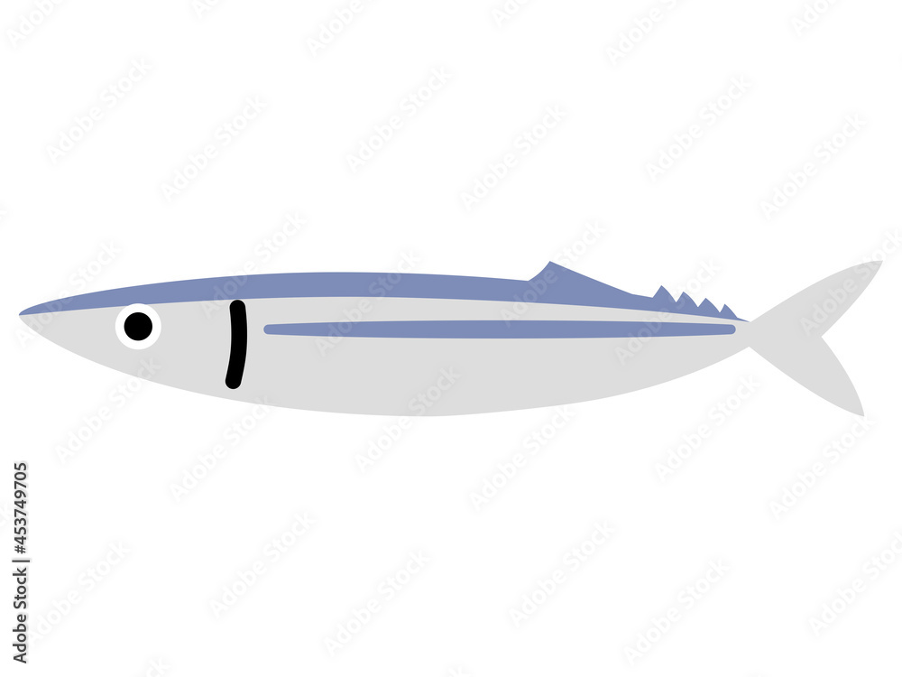 シンプルなサンマ(魚) シンプルなサンマ(魚)