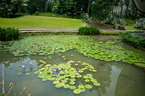 シンガポールの観光名所を旅行する風景 Scenes from a trip to Singapore's tourist attractions  photo