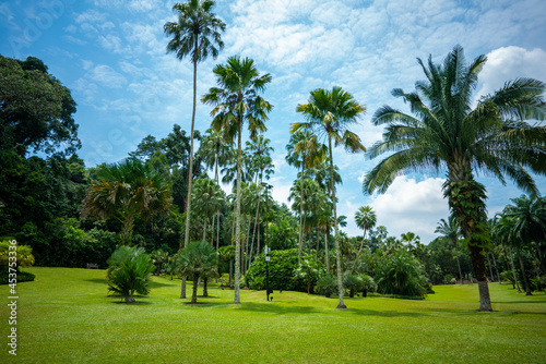 シンガポールの観光名所を旅行する風景 Scenes from a trip to Singapore's tourist attractions 