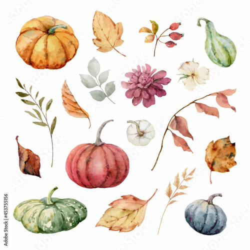 Thanksgiving vector set colorful pumpkins with autumn leaves and flowers.