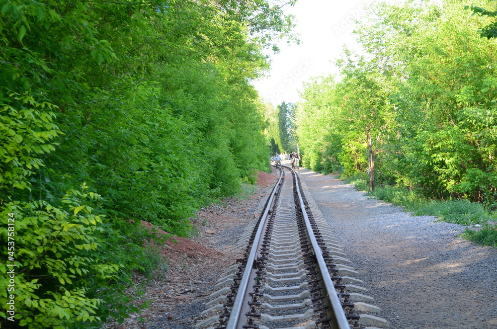 Obraz premium railway in the forest