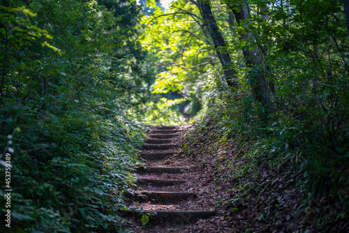                                                                                      Scenery of climbing Sarukura Mountain  Gozen Mountain  and Ozanami Gozen Mountain in Toyama City  Toyama Prefecture. 