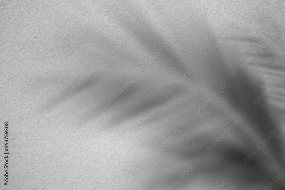 Naklejka premium Shadow Leaves Palm on Gray Cement blur background. silhouette coconut leaf with construction texture surface rough floor. for tropical tourist travel summer holiday vacation backdrop concept.