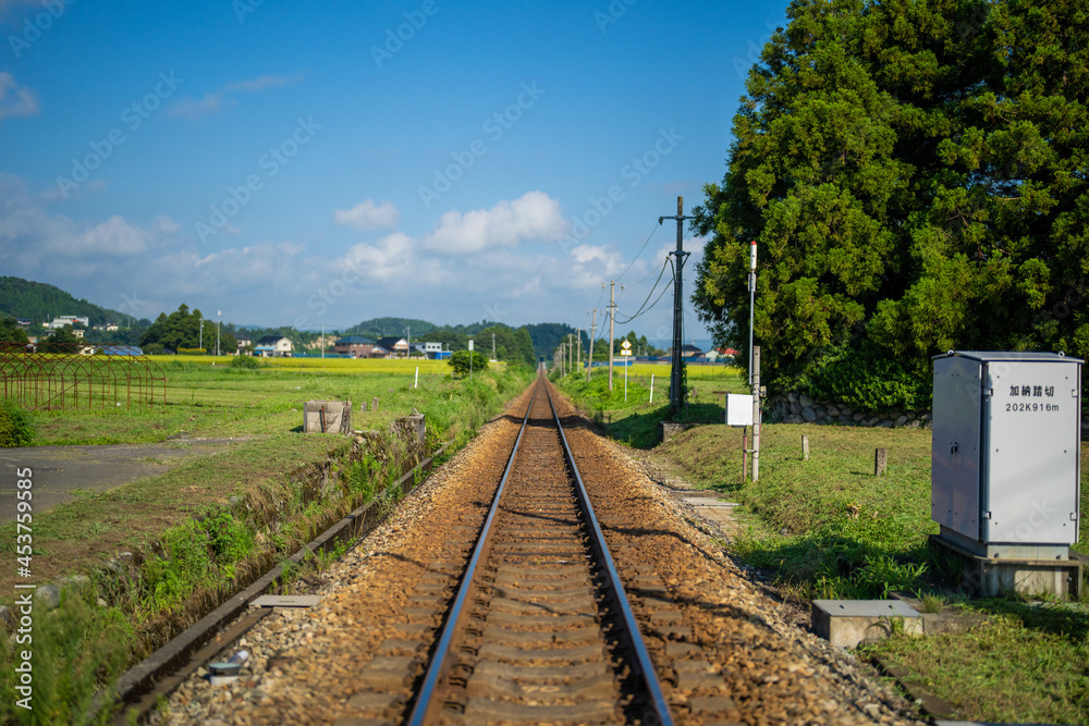 Fototapeta premium 富山県富山市の猿倉山、御前山、小佐波御前山を登山する風景 Scenery of climbing Sarukura Mountain, Gozen Mountain, and Ozanami Gozen Mountain in Toyama City, Toyama Prefecture. 