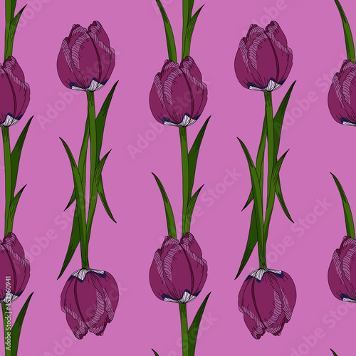 Purple tulips vector seamless pattern illustration on pink background