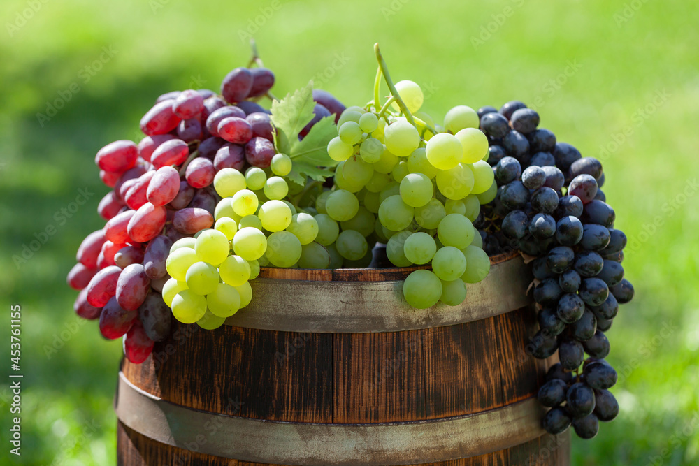 Various colorful grapes on wine barrel