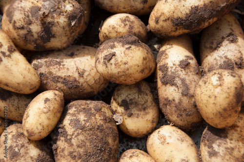 Organics potatoes