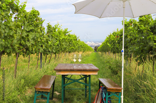 Photography A beautiful place (Nussberg) to enjoy wine with a view to Vienna, Austria