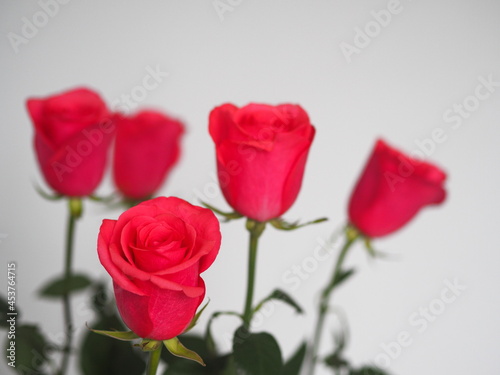 Congratulations to the holiday.Bouquet of pink roses in a glass vase on a gray background. Place for text.