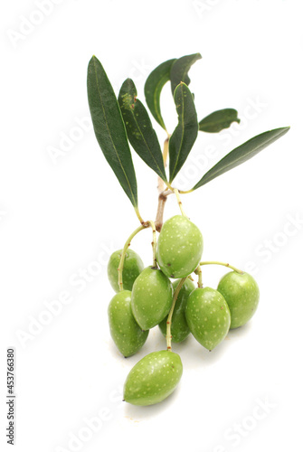Wallpaper Mural Olives on a twig isolated on a white background, mediterranean food, vegan Torontodigital.ca