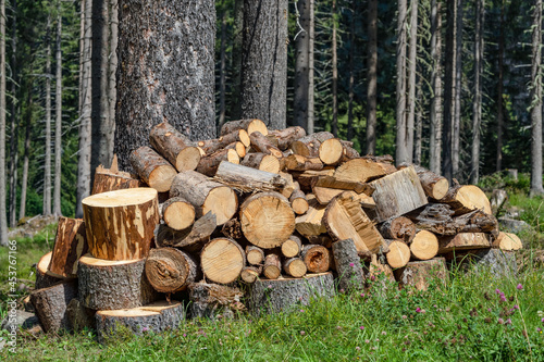 Symbolfoto Forstwirtschaft - ges  gter Stapel Brennholz am Waldrand 