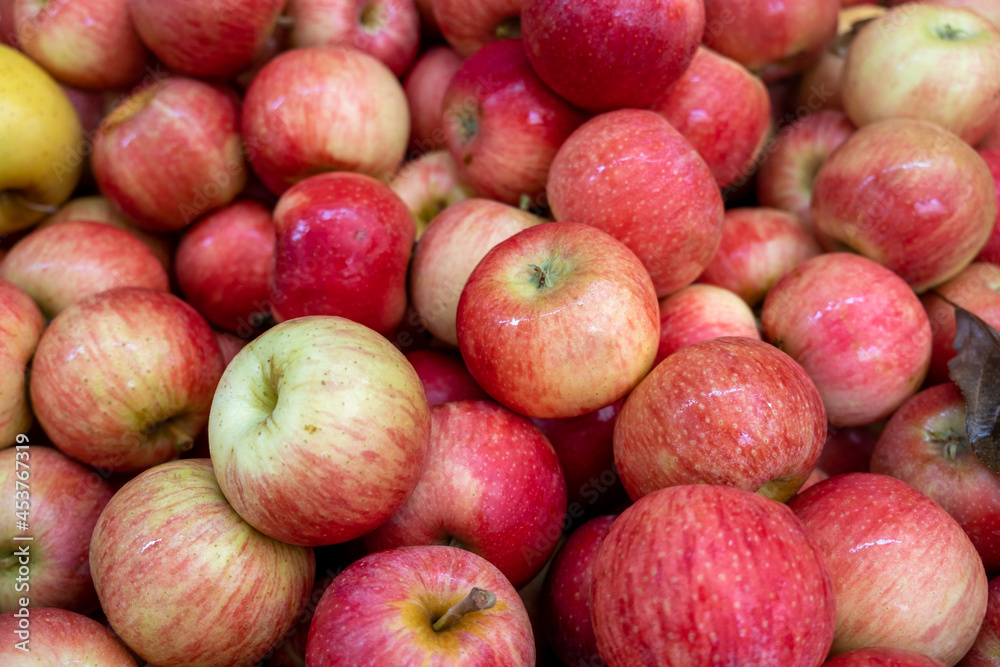 New harvest green red apples for sale at city market