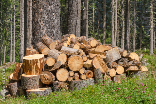 Symbolfoto Forstwirtschaft - ges  gter Stapel Brennholz am Waldrand 