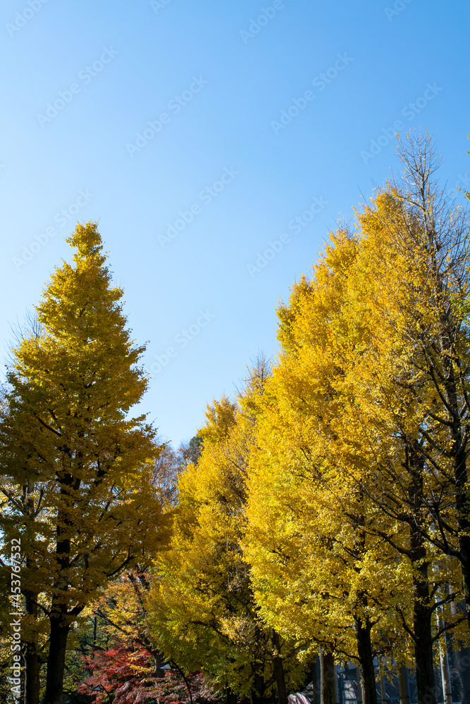 秋の景色