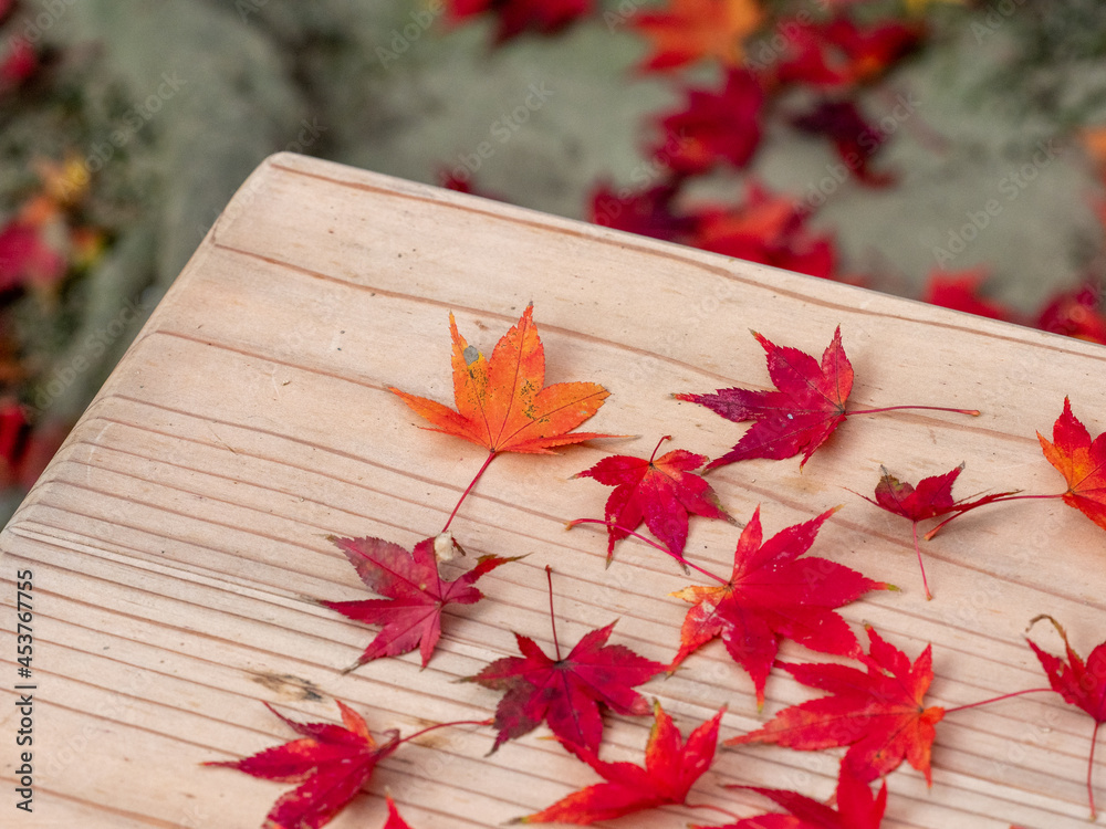 Obraz premium 晩秋らしい景色