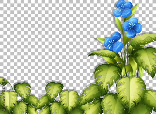 Various tropical leaves on transparent background
