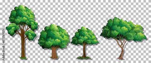 Set of various trees on transparent background