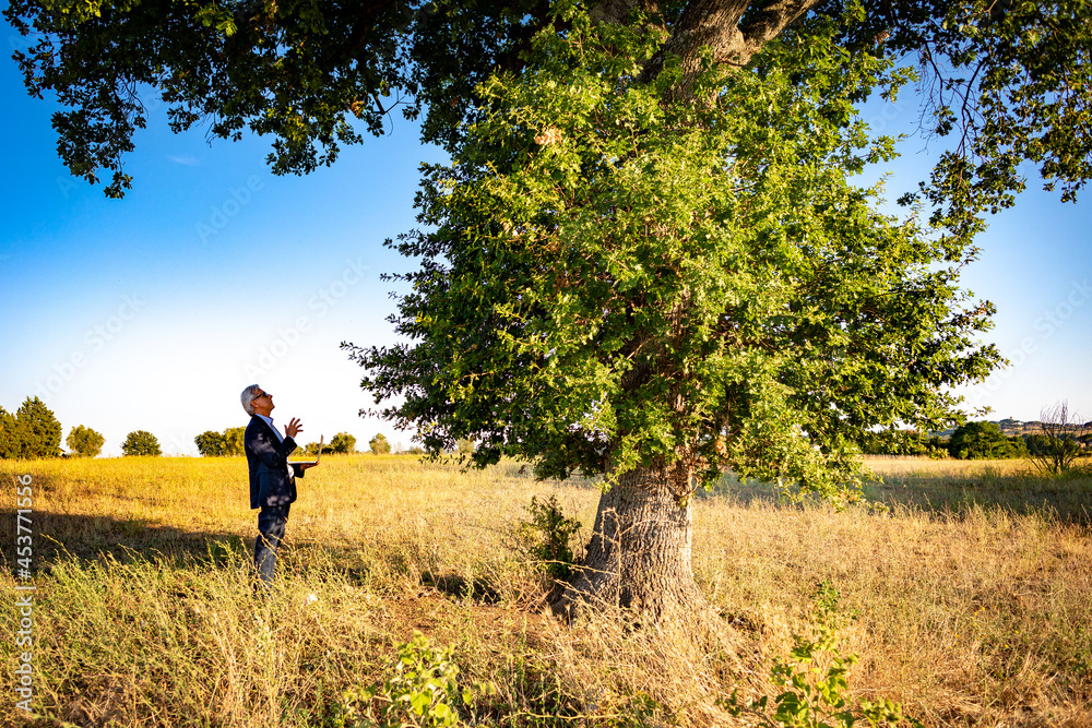 A senior botanist with laptop converses with the magic tree at sunset