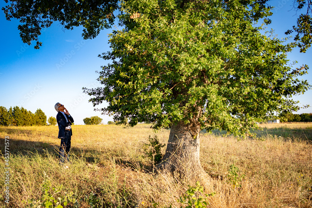 A senior doubtful botanist converses with the magic tree at sunset A senior doubtful botanist converses with the magic tree at sunset