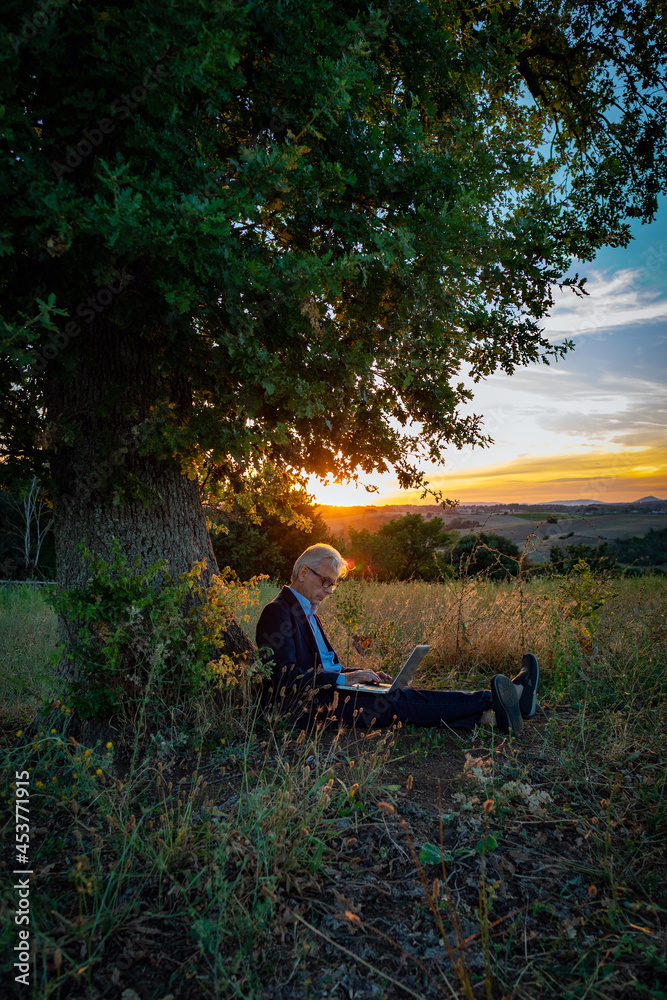 Senior businessman with laptop working under the magic tree at sunset